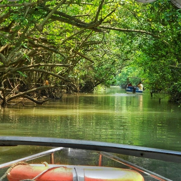 EXPERIENCE OF KERALA.jpg